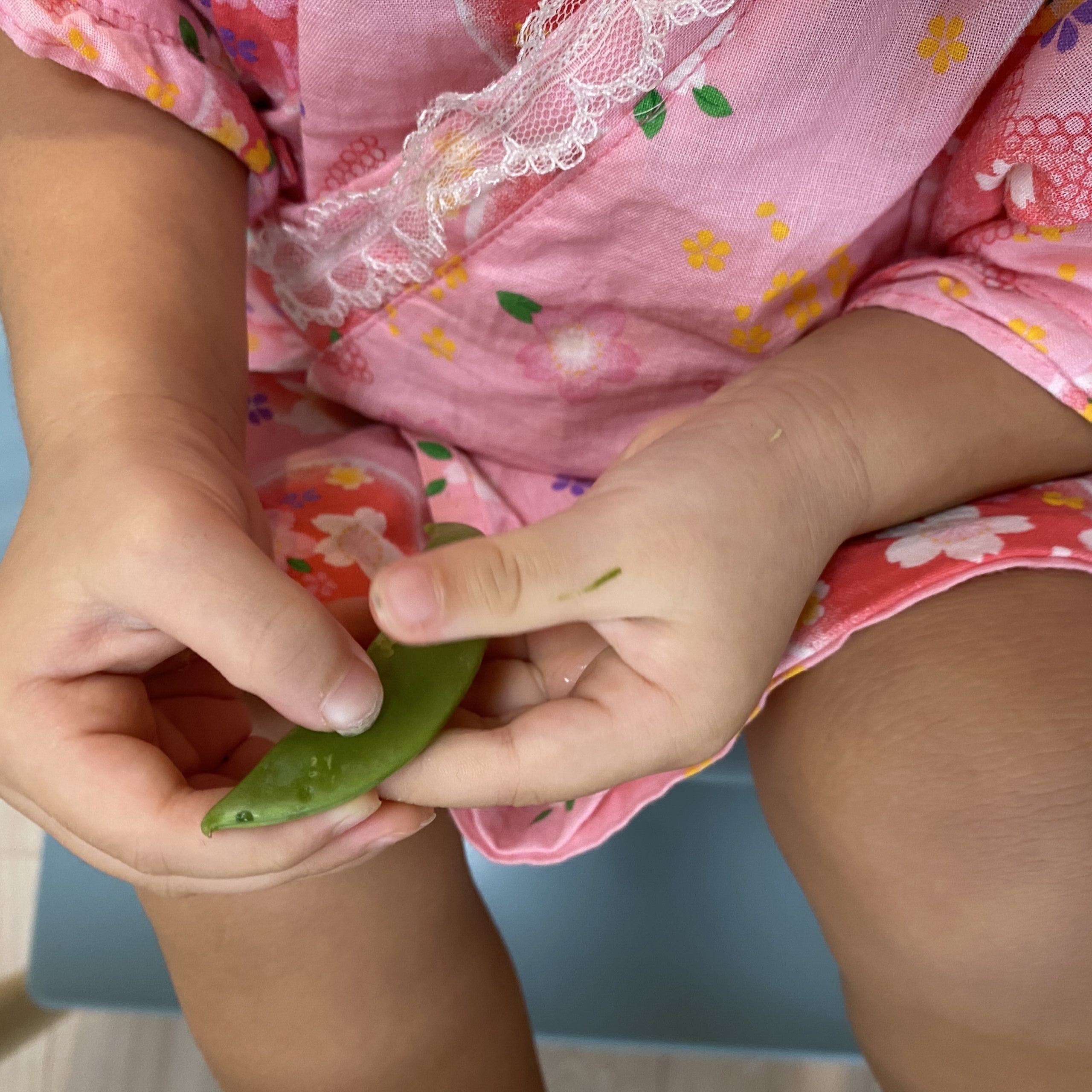 ハローフレッシュ 野菜 スナップエンドウ 娘手伝い