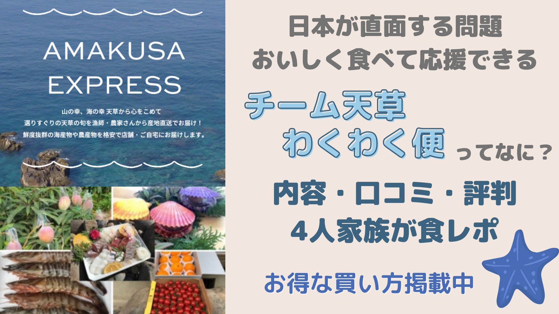 チーム天草わくわく便レビュー｜産地直送の新鮮な魚や野菜を家族4人で食レポ